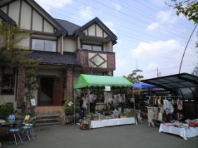 Cafe Cozy